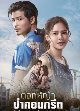 Xem Phim A Wildflower in the City Vietsub HD Online