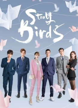 Xem Phim Bầy Chim Lạc Vietsub HD Online