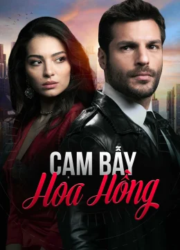 Xem Phim Cạm Bẫy Hoa Hồng Vietsub HD Online