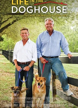 Xem Phim Cuộc Sống Ở Trại Chó Vietsub HD Online