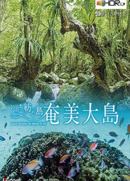 Xem Phim Đảo Amami Oshima Vietsub HD Online