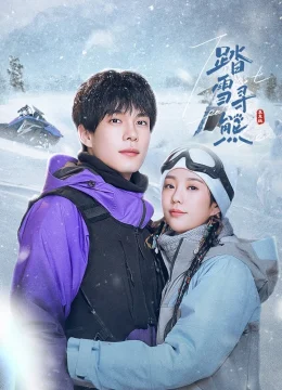 Xem Phim Đạp Tuyết Tầm Hùng Vietsub HD Online