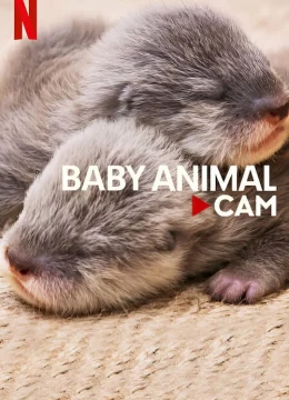 Xem Phim Động vật bé cưng trên camera Vietsub HD Online