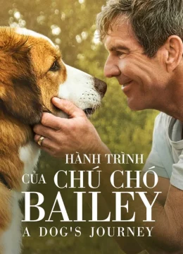 Xem Phim Hành Trình Của Chú Chó Bailey Vietsub HD Online