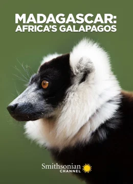 Xem Phim Madagascar: Africa’s Galapagos Vietsub HD Online