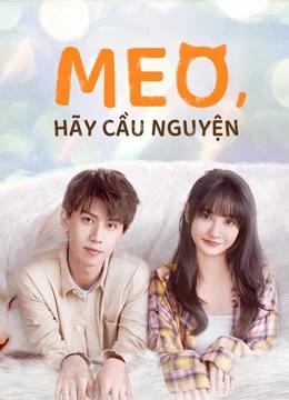 Xem Phim Meo, Hãy Cầu Nguyện Vietsub HD Online