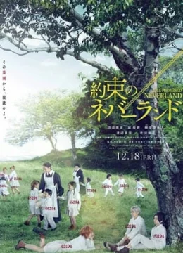 Miền Đất Hứa (Live Action)