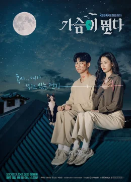 Xem Phim Nhịp Đập Trái Tim Vietsub HD Online