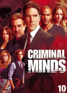 Xem Phim Tâm Lý Tội Phạm (Phần 10) Vietsub HD Online