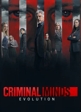 Xem Phim Tâm Lý Tội Phạm (Phần 17) Vietsub HD Online