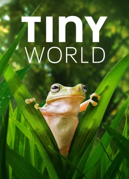 Thế Giới Siêu Nhỏ (Phần 2)