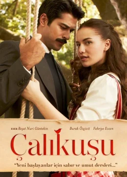 Tiếng Hót Chim Hồng Tước