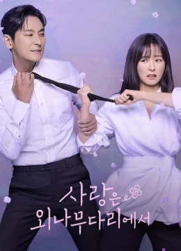 Xem Phim Tình Yêu Trên Cây Cầu Độc Mộc Vietsub HD Online