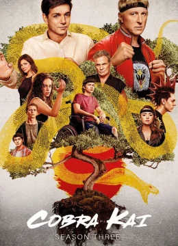 Võ Đường Cobra Kai (Phần 3)