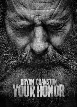 Xem Phim Your Honor (Phần 2) Vietsub HD Online