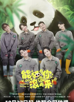 Xem Phim Gấu Trúc Và Bạn, Lăn Đến Đây! Vietsub HD Online