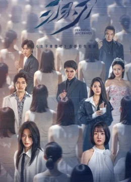 Xem Phim Lông Vũ Hoá Đao Vietsub HD Online