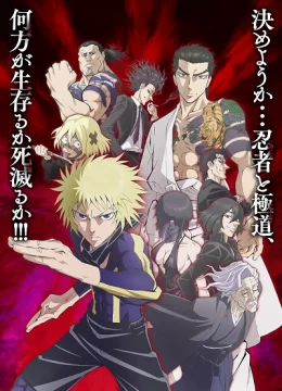 Xem Phim Ninja to Gokudou Vietsub HD Online