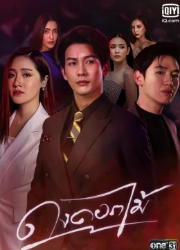 Xem Phim Rừng Hoa Rực Lửa Vietsub HD Online