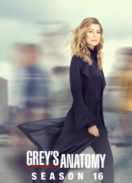Xem Phim Ca Phẫu Thuật Của Grey (Phần 16) Vietsub HD Online