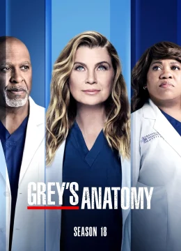 Ca Phẫu Thuật Của Grey (Phần 18)