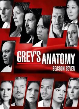 Xem Phim Ca Phẫu Thuật Của Grey (Phần 7) Vietsub HD Online
