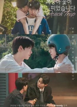 Xem Phim Hoa Đào Nở Vietsub HD Online