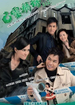 Xem Phim Đội Điều Tra Đặc Biệt (Phần 1) Vietsub HD Online