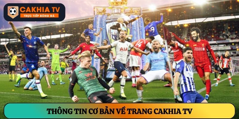 Thông tin cơ bản về trang cakhia tv
