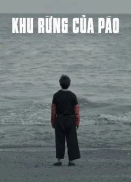 Xem Phim Khu rừng của Páo Vietsub HD Online